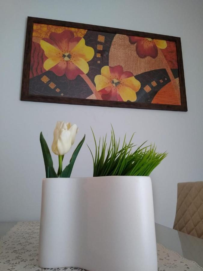 Apartamento Giardino Araucaria 301 Apartment Canela Ngoại thất bức ảnh